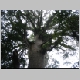 Northland Trip 007.jpg